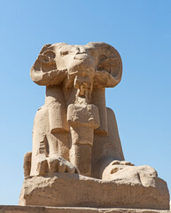 Obraz premium Large statue of ram headed sphinx at Karnak temple in Egypt