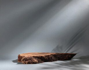 Beautiful wooden snag, cylindrical birch slab on a gray background with sunlight Podium. An empty...
