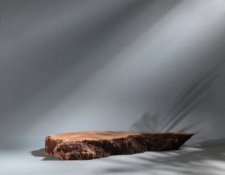 Beautiful wooden snag, cylindrical birch slab on a gray background with sunlight Podium. An empty showcase for product presentation