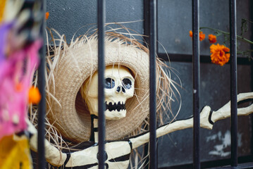 A traditional handmade day of the dead papier mache altar skeleton puppet with straw hat behind an iron fence in Oaxaca Mexico as an offering and decoration for the dia de muertos holiday