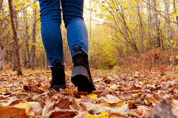 woman walks in the fall on dry fallen leaves in the park. Abstract empty blank of the autumn weathe