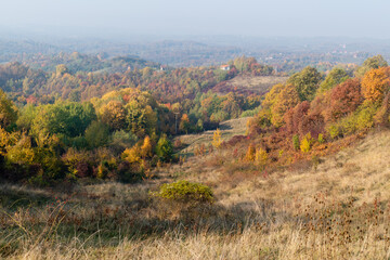 Hilly rural landscape with forest in autumn colours.