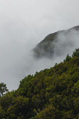 Madeira mountain landscape footpath on Levadas