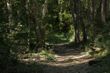 Sendero que va desde La Font del Quinzet hasta el Racó de San Bonaventura, Alcoy, Comunidad Valenciana, España