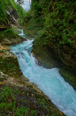 Fototapeta na wymiar Scenic view in Vintgar gorge, Slovenia