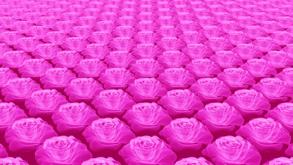 Fototapeta premium many roses flowers background hologram pattern pink vivid colors 3D ilustration