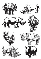 Vector set of rhinoceroses on white isolated,graphical drawing. Stylish print elements, savanna habitant