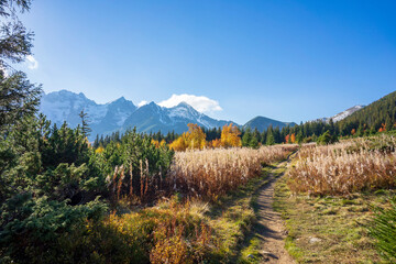 A mountain glade ( Rakuska) in the Belianske Tatras in autumn. In the background, a view of the...