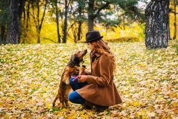 Owner teaches dog tricks. Young red-haired woman plays in the park with a red dachshund dog. 