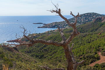 Landschaft im Estérel-Gebirge an der Côte d'Azur