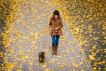 Young red-haired woman walking in the park with a red dachshund dog. A girl with a pet walk along a paved path strewn with leaves, top view.