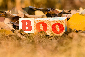 The word BOO on wooden cubes on the background of fallen leaves, close up. Autumn concept. Halloween holiday