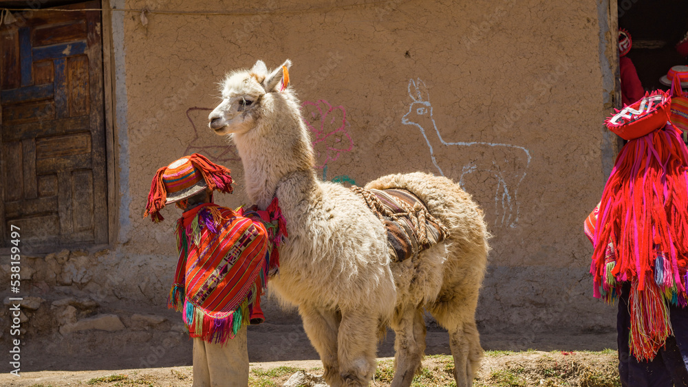 Wall mural Kid and llama in Huilloc andean town cusco peru