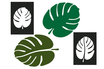 Monstera leaf stencil. Vector silhouette of monstera leaves
