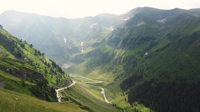 Aerial drone overhead of single car driving down curvy mountain road through green forest valley with trees and rainy fog