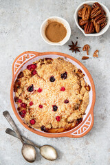 Homemade apple crumble with cinnamon and berries	