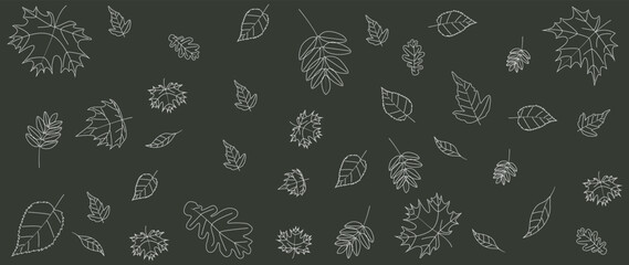 Vector flat illustration. Dark green background with autumn falling leaves with white outline. Pattern for textiles, wallpaper, gift wrapping, business cards, covers and invitations.
