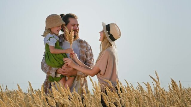 Caucasian man father bearded dad holding daughter child in field outdoors summer mother woman in hat goes to family give ear of wheat to child girl kid tickles daddy with plant funny travel agronomy