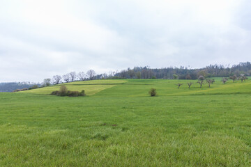 Fototapeta premium landscape with field and sky