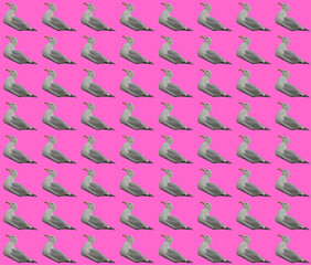 Seamless seagulls