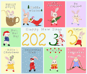 Fototapeta na wymiar Set of New Year's rabbits. Collection of Christmas bunnies. 2023 is the year of the rabbit. Vector illustration