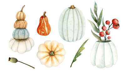 Set of watercolor illustrations with pumpkins, branches and berries isolated on white background, pumpkin vase, orange, pastel blue, dust green, farm rustic designs