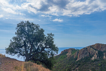 Landschaft im Estérel-Gebirge an der Côte d'Azur