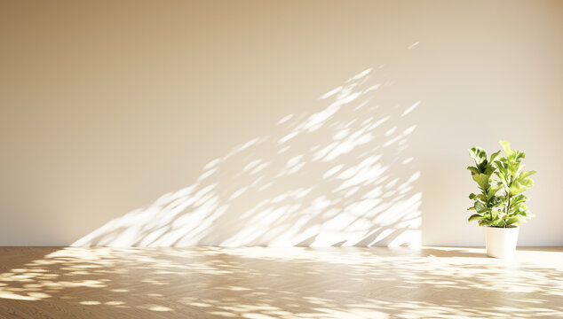 Sunshine creating pattern in empty room in modern flat. Green plant in flower pot on wooden floor. 3D illustration.