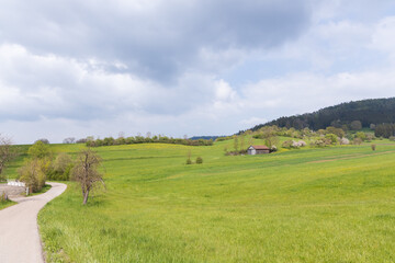 Fototapeta premium Path in the country with barn in a green field in Germany