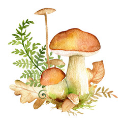 Watercolor mushrooms and leaves