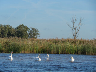 Das Dorf Giethoorn in den Niiederlanden