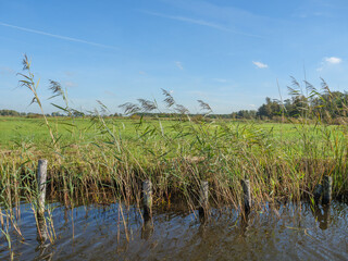 Das Dorf Giethoorn in den Niiederlanden