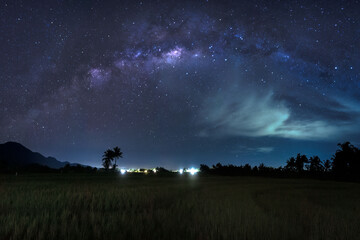 Indonesian natural scenery with rice fields at night