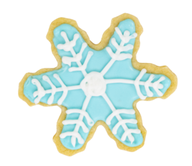 Isolated snowflake holiday decorated sugar cookie