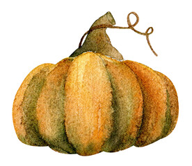 Watercolor pumpkin - 538172670