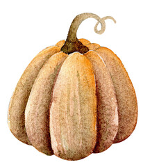 Watercolor pumpkin - 538172876