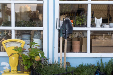 Small business, Flowers delivery. Modern flower shop interior, reception desk. Floral design studio, sale of decorations and arrangements