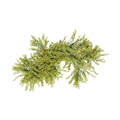 bush, top view, isolated on white background, 3D illustration, cg render