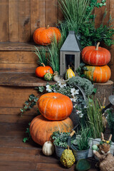 Photo area for Halloween with festive attributes. Pumpkins on Rustic Wooden Table With decor and green plants