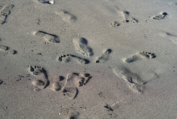 Dark sand on the beach in which there are many human footprints.