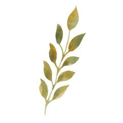Watercolor branch with green leaves. Element for design, decoration. Floral, botanical style. Dry leaves. Autumn, spring.