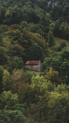 Old mountain hut in the middle of the woods made up of stone