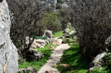 Camino de piedras en El Torcal de Antequera, paisaje kárstico en un paraje natural patrimonio...
