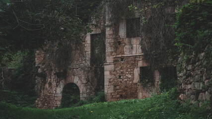Fototapeta na wymiar Ruins of an old house with vegetation growing inside the house and with a misty scenary