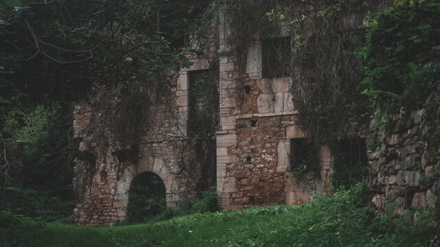 Ruins of an old house with vegetation growing inside the house and with a misty scenary