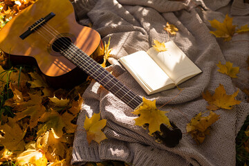 yellow maple leaves lie on a guitar on a plaid in the park. side view. autumn.