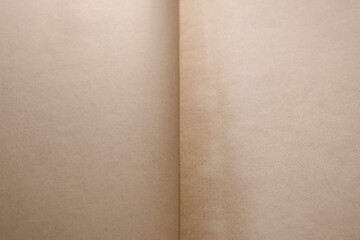 Fototapeta premium Empty pages of open old book background