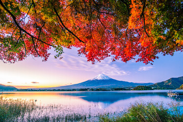 富士山と紅葉