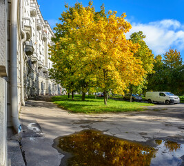 Golden autumn on the city streets and in the park.