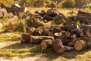 Firewood cut by wood chopping